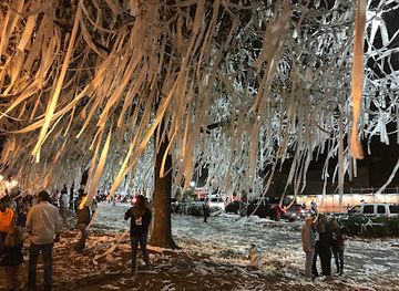 alabama/chattahoochee-river/attraction/toomer-s-oaks