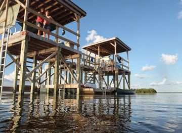 florida/homestead/attraction/tours-in-the-glades