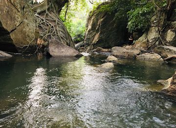 sri-lanka/sigiriya/attraction/roshan-jeep-safari