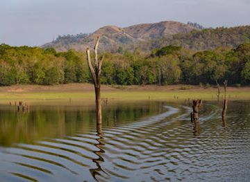 india/kerala/attraction/soochipara-waterfalls