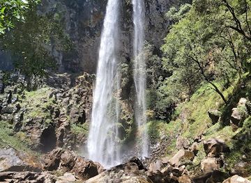 australia/mid-north-coast/attraction/rawson-falls