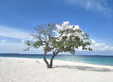 maldives/raa-atoll/attraction/dharavandhoo-beach