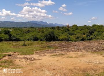 sri-lanka/udawalawe-national-park/attraction/udawalawa-national-park-handagiriya-entrance