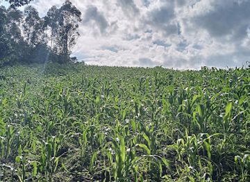 uganda/rwenzori-mountains-national-park/attraction/fort-portal-bigodi