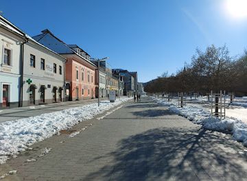 slovakia/horna-nitra/attraction/forestry-and-timber-museum