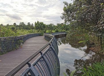 singapore/sungei-buloh-wetland-reserve/attraction/kranji-nature-trail