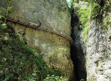 slovenia/skofja-loka/attraction/pokljuka-gorge