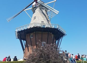 michigan/holland-state-park/attraction/windmill-island-gardens