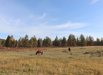 mongolia/mongolian-manchurian-grassland/attraction/a-ershan-national-forest-park