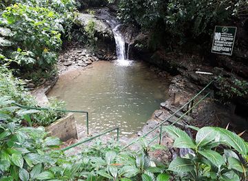 trinidad-and-tobago/arima/attraction/asa-wright-nature-centre