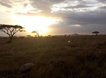 tanzania/kilimanjaro-region/attraction/sere-adventure-safari