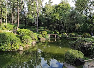 mexico/guadalajara/attraction/forest-the-colomos