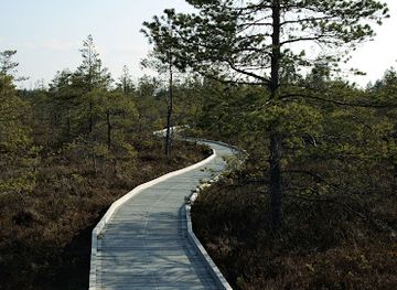 estonia/parnumaa/attraction/riisa-vaatetorn