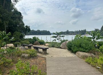 singapore/coney-island/attraction/little-grebes-round-island-route