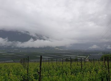 italy/trentino-alto-adige/attraction/steinlawine