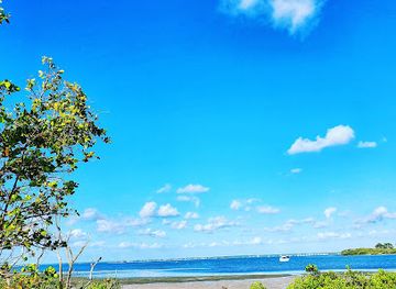 florida/honeymoon-island-state-park/attraction/honeymoon-island-beach