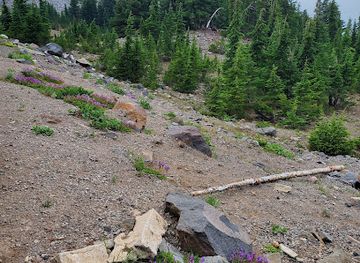 oregon/klamath-basin/attraction/crater-lake-trolley