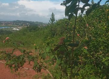uganda/busoga/attraction/igenge-hill