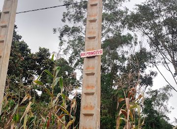 cameroon/bafoussam/attraction/rue-princesse