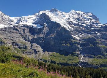 switzerland/wengen/attraction/lauberhornrennen-wengernalp