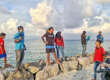 maldives/thoddoo-island/attraction/bird-free-flying-zone