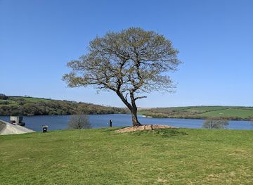 united-kingdom/pembrokeshire-coast-national-park/attraction/llys-y-fran-reservoir