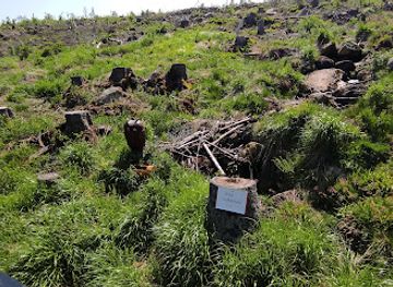 germany/harz-mountains/attraction/eulenbrunnen