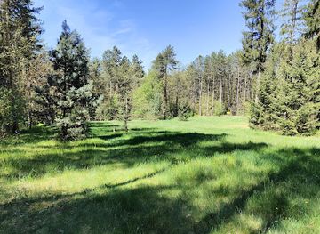 hungary/nyirseg/attraction/nyirjes-botanical-garden-and-zoo