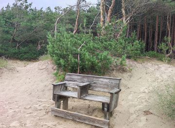 lithuania/palanga-beach/attraction/mamuto-kalva