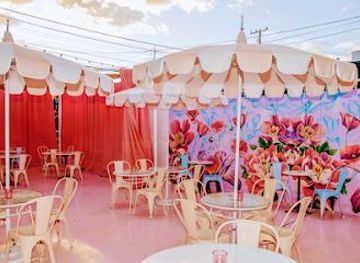 kentucky/henderson/attraction/velveteen-rabbit