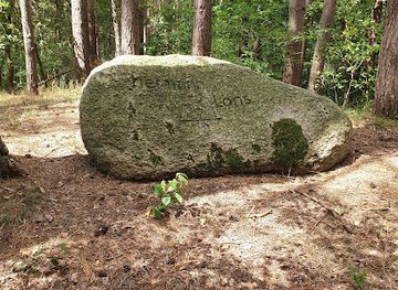 germany/teutoburg-forest/attraction/lonsstein-detmold-heidenoldendorf
