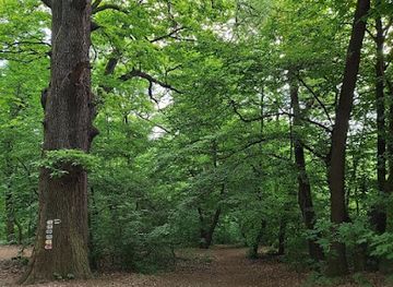 hungary/central-hungary/attraction/wwf-hungary