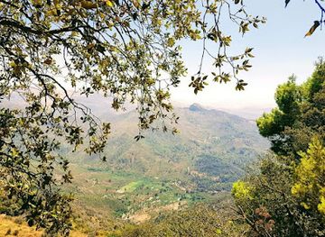 algeria/chrea-national-park/attraction/al-murja
