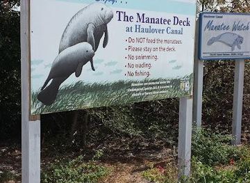 florida/cape-canaveral/attraction/manatee-observation-deck