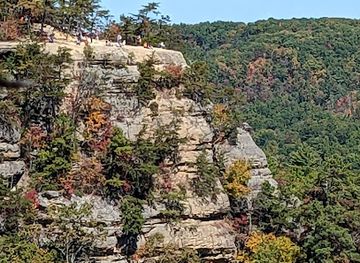 kentucky/red-river-gorge-geological-area/attraction/natural-bridge-state-resort-park