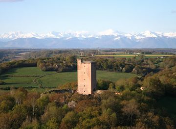 france/midi-pyrenees/attraction/chateau-de-montaner