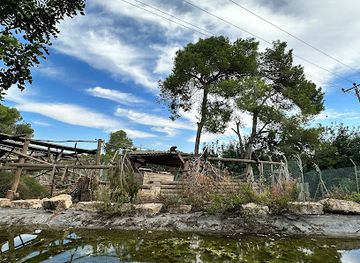 israel/central-district/attraction/israeli-primate-sanctuary-foundation