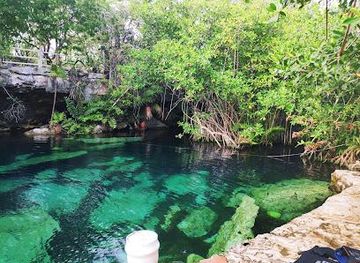 mexico/playa-del-carmen/attraction/cenote-cristalino