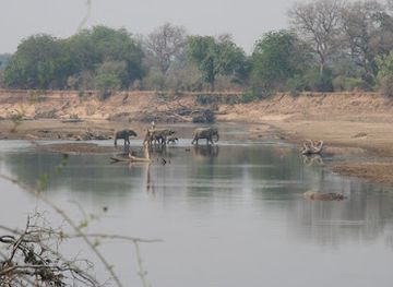 zambia/south-luangwa-national-park/attraction/mumbulu-safari-camp
