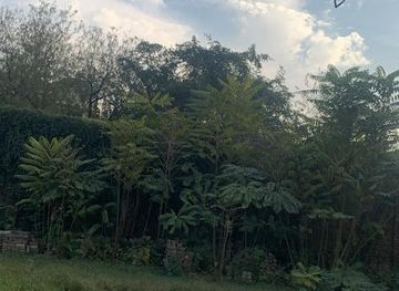 pakistan/peshawar/attraction/abdul-s-vila