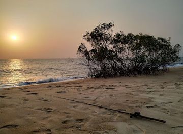 sierra-leone/lungi-beach/attraction/sussex-beach
