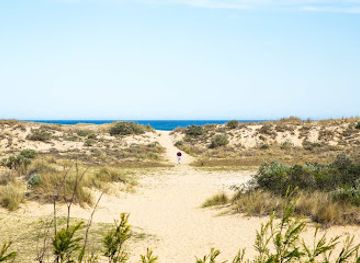 australia/gippsland/attraction/lake-tyers-state-park