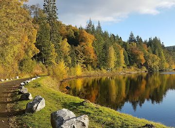 united-kingdom/perthshire/attraction/faskally-forest