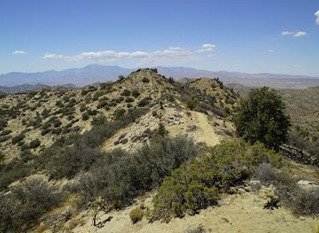 california/joshua-tree-national-park/attraction/warren-peak-trail