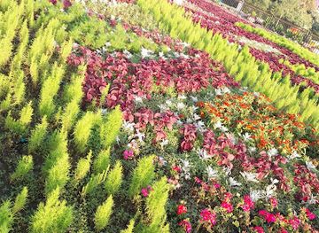 saudi-arabia/abha/attraction/hadqat-alsad-bmdyn-babha