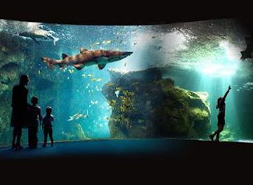 france/marais-poitevin/attraction/la-rochelle-aquarium