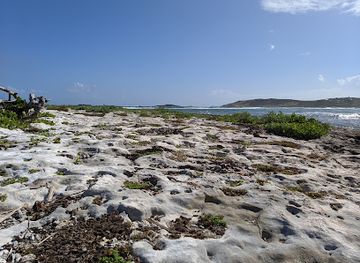 sint-maarten/le-galion-beach/attraction/le-gallon
