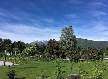 switzerland/ascona/attraction/frutteto-pubblico-del-patriziato-di-ascona