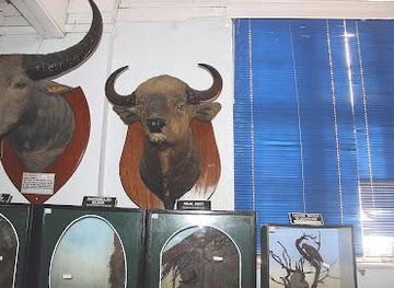 india/darjeeling/attraction/bengal-natural-history-museum