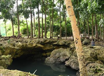 philippines/central-visayas/attraction/tibaw-cave-pool